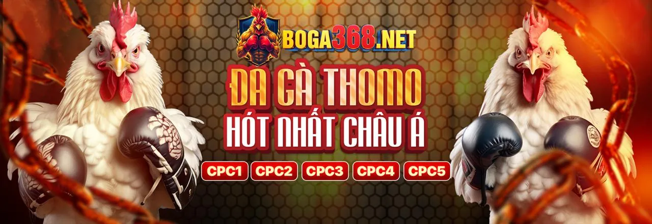 Đá gà trực tuyến bay789 code với các chiến kê dũng mãnh